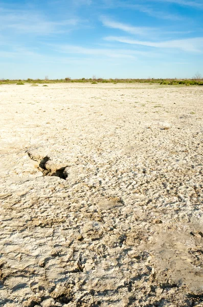 盐渍的草原 枯死的植物 炎热的夏天 死气沉沉的焦土 光秃秃的哈萨克斯坦大草原 — 图库照片