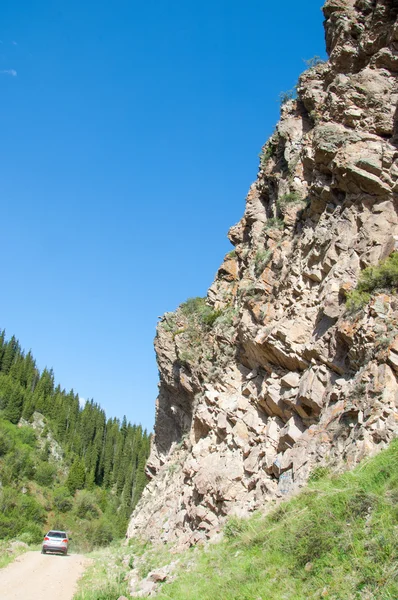 Dağ Dağ Tepe Kazakistan Tien Shan Takma Yaylası — Stok fotoğraf