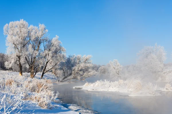 Winter Winter Tij Winter Tijd Hibernate Hij Koudste Seizoen Van — Stockfoto