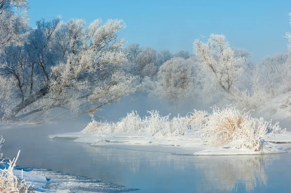 Winter, Winter-Flut, Winter-Zeit lizenzfreie Stockbilder