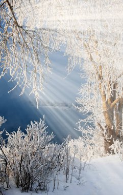 Kış manzarası. su güneş nehre yansıtılır. Ağaçlar