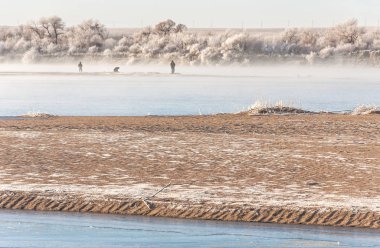 Kış manzarası. Nehir sis soğuk suda. kum plaj buzla kaplıdır. Ili Nehri kış. Kazakistan