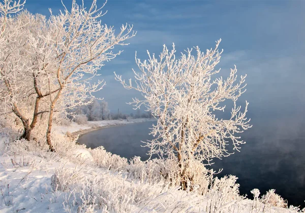 Winter Landscape Trees Bushes Hoarfrost Water River Floating Mist Cold — Stock Photo, Image