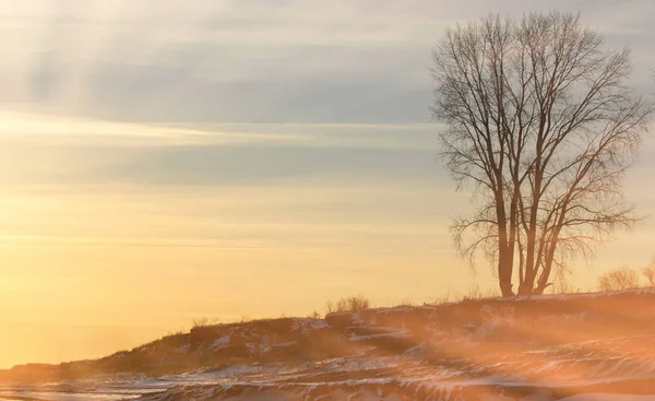 Paesaggio invernale. Il sole splende nella macchina fotografica. gli alberi — Foto Stock