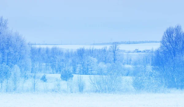 Winterlandschap. Frost frost op de bomen. Extreme kou. hoarfr — Stockfoto