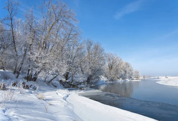 Vinter Vinter Tid Vinter Tid Dvala Han Kallaste Årstid Norra — Stockfoto