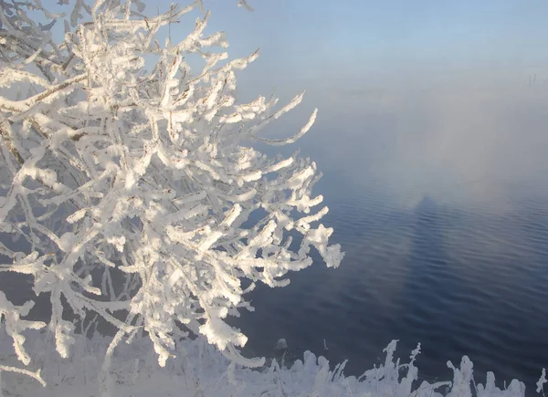 Winterlandschap Frost Frost Bomen Extreme Kou Rijm Een Grijs Wit — Stockfoto