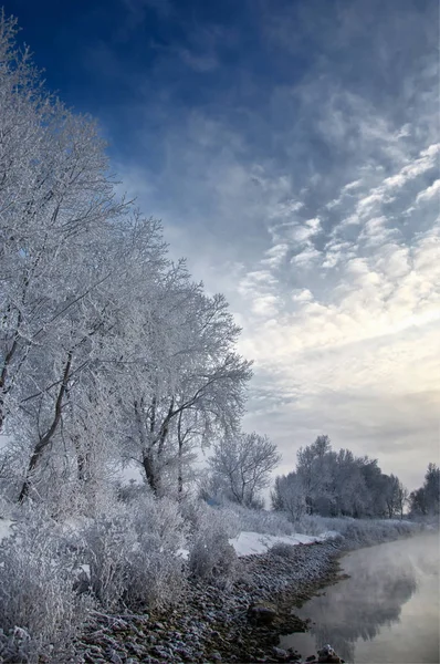 Vinterlandskap Träd Och Buskar Med Rimfrost Vattnet Floden Flyter Dimma — Stockfoto