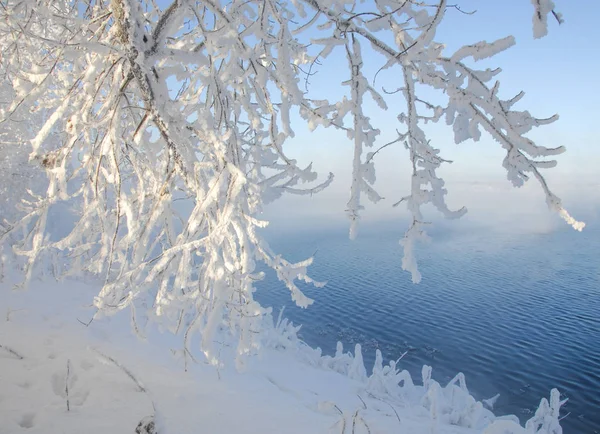 Χειμωνιάτικο Τοπίο Δέντρα Και Θάμνοι Παγετός Νερό Στον Ποταμό Αιωρούμενη — Φωτογραφία Αρχείου