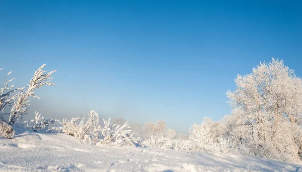 Winterlandschaft. Frostbeulen an den Bäumen. Verdunstung von Nebel — Stockfoto