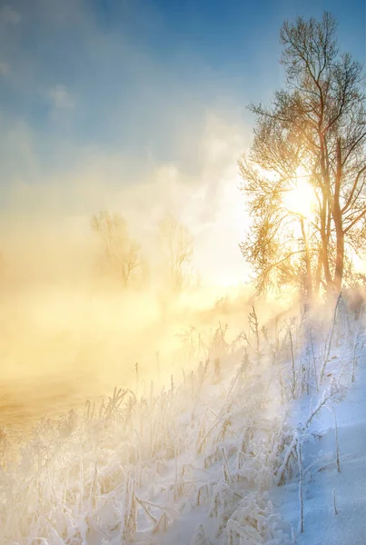 Winter landscape. The sun shines in the photo camera. the trees and grass frost. water in the river heavy fog