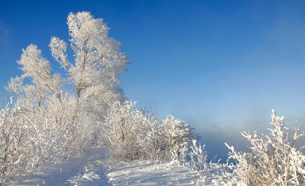 Winterlandschap Frost Frost Bomen Nevel Verdamping Van Water Blauwe Hemel — Stockfoto