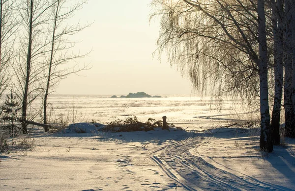 Winter Winter Winter Wintertijd Winterslaap Het Koudste Seizoen Van Het — Stockfoto