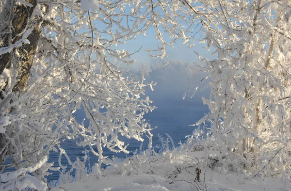 Paisagem Inverno Árvores Arbustos Com Geada Água Rio Névoa Flutuante — Fotografia de Stock