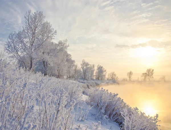 Paesaggio Invernale Acqua Sole Riflette Nel Fiume Alberi Ricoperti Brina — Foto Stock