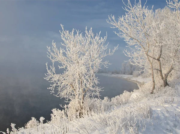 Paesaggio Invernale Gelo Gelo Sugli Alberi Evaporazione Nebbia Acqua Cielo — Foto Stock