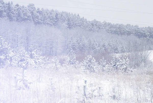 Winterlandschaft Frostbeulen Den Bäumen Wassernebel Verdunstet Blauer Himmel Sonniger Tag — Stockfoto