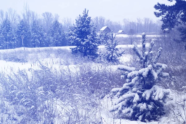 Winterlandschaft Frostbeulen Den Bäumen Wassernebel Verdunstet Blauer Himmel Sonniger Tag — Stockfoto