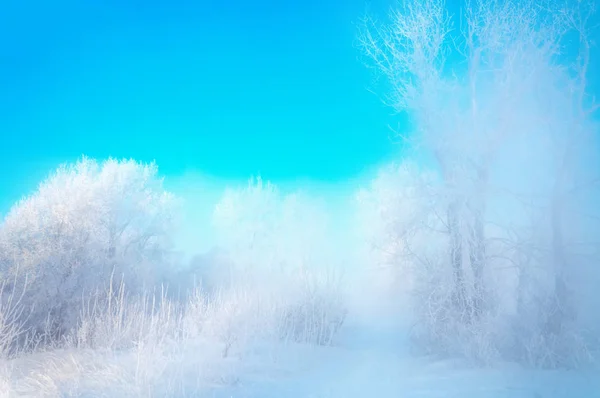Winterlandschap Zon Schijnt Fotocamera Bomen Gras Vorst Water Rivier Zware — Stockfoto