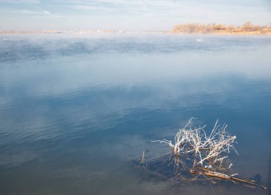 Kış manzarası. Nehir sis soğuk suda. kum plaj buzla kaplıdır. Ili Nehri kış. Kazakistan