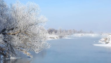 Kış manzarası. Ağaçlar ve çalılar ile hoarfrost. Sis yüzen nehir su. soğuk sezon. donmuş su buharı, kurulmuş bir grimsi-beyaz kristal depozito temizleyin hala bitki örtüsü hava
