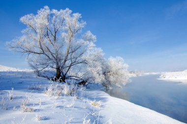 Kış manzarası. Ağaçlar ve çalılar ile hoarfrost. Suda 