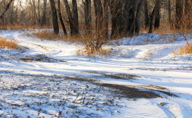 Sonbahar manzara. İlk kar. Beyaz pul şeklinde yağış temsil eden buz kristalleri,