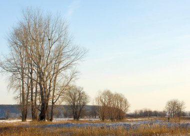 Sonbahar manzara. İlk kar. Beyaz pul şeklinde yağış temsil eden buz kristalleri,