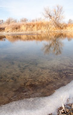 Kış manzarası. Nehir sis soğuk suda. kum plaj buzla kaplıdır. Ili Nehri kış. Kazakistan