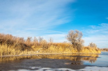 Kış manzarası. Nehir sis soğuk suda. kum plaj buzla kaplıdır. Ili Nehri kış. Kazakistan