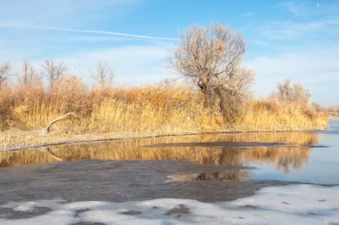Kış manzarası. Nehir sis soğuk suda. kum plaj buzla kaplıdır. Ili Nehri kış. Kazakistan