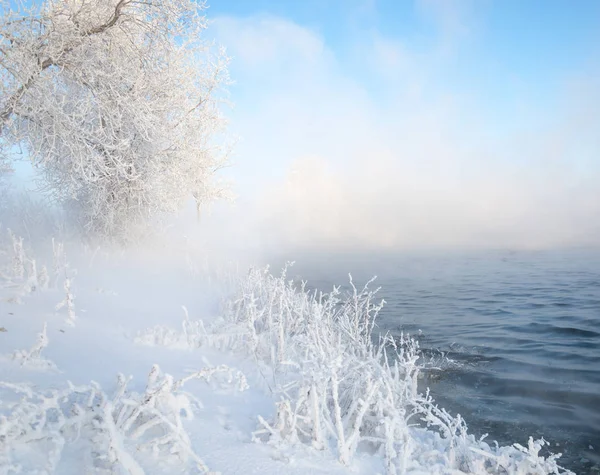 Зимовий Пейзаж Дерева Кущі Калюжами Вода Річці Плаває Туман Холодний — стокове фото