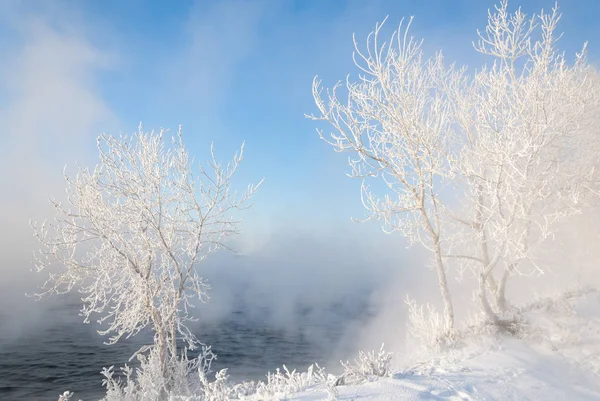 Winterlandschap Bomen Struiken Met Rijm Het Water Rivier Drijvende Mist — Stockfoto