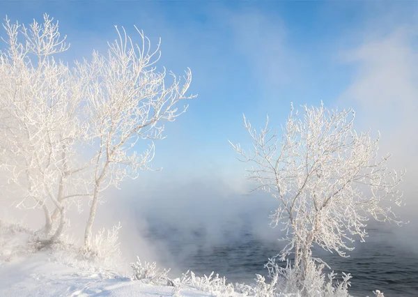 Winterlandschap Bomen Struiken Met Rijm Het Water Rivier Drijvende Mist — Stockfoto