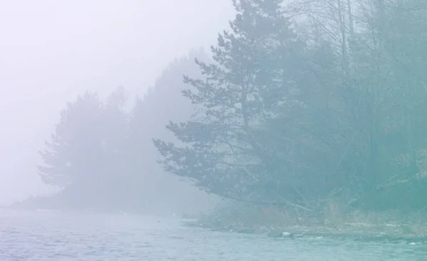 Winter landscape. The sun shines in the photo camera. the trees and grass frost. water in the river heavy fog