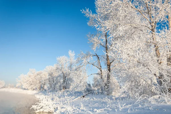 Winterlandschap Frost Frost Bomen Nevel Verdamping Van Water Blauwe Hemel — Stockfoto