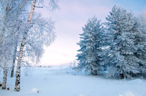 Vinterlandskap Frost Frost Träden Dimma Avdunstning Vatten Blå Himmel Solig — Stockfoto