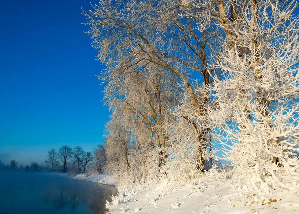 Vinterlandskap Träd Och Buskar Med Rimfrost Vattnet Floden Flyter Dimma — Stockfoto