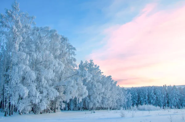 Zimní krajina. Mráz mráz na stromech. Odpařováním mlhy — Stock fotografie