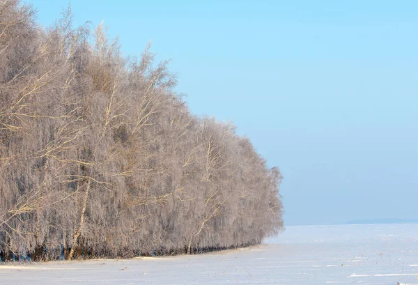 Winterlandschap Frost Frost Bomen Nevel Verdamping Van Water Blauwe Hemel — Stockfoto