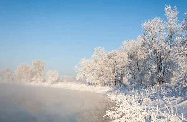 Zimowy Krajobraz Drzew Krzewów Szronu Woda Rzece Pływające Mgły Zimnej — Zdjęcie stockowe