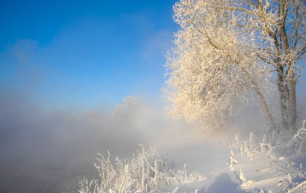 Winter Landscape Trees Bushes Hoarfrost Water River Floating Mist Cold Royalty Free Stock Images