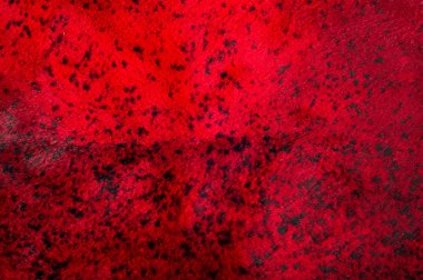 Doku, arka plan. Vizon kürk. Bazı hayvanları kısa, ince, yumuşak saçlı. Kırmızıyla boyalı