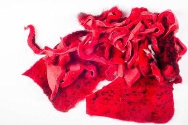 Doku, arka plan. Vizon kürk. Bazı hayvanları kısa, ince, yumuşak saçlı. Kırmızıyla boyalı