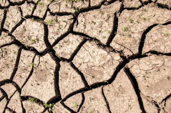 Textura Fondo Desierto Desierto Desperdicio Arenas Bosques Sahara Textura Tierra — Foto de Stock