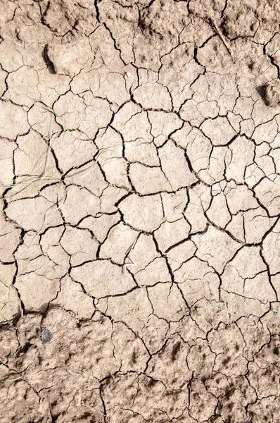 テクスチャ 廃棄物 サハラ 乾燥した土地のテクスチャ 割れた地球背景を乾燥させます 乾いた地面に着陸します 乾燥し ひびの入った地面と土地します — ストック写真