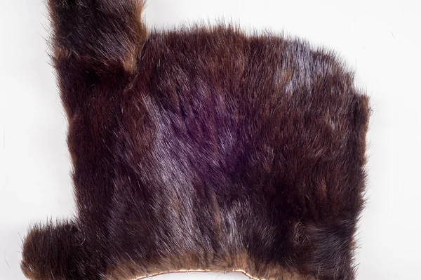 纹理背景 水貂皮草 废物的产生 小片的貂皮 — 图库照片