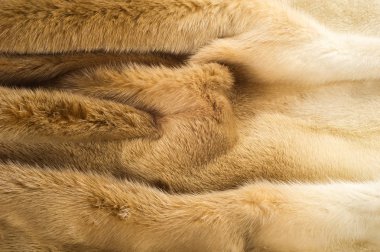 Doku, arka plan. vizon kürk. Vizon kürk. Altın rengi vizon kürk. bir küçük, semiaquatic, stoatlike etobur anavatanı Kuzey Amerika ve Eurasia. Amerikan vizon kürk için yaygın olarak çiftlik.