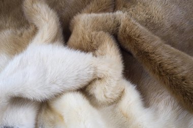 Doku, arka plan. vizon kürk. Vizon kürk. Altın rengi vizon kürk. bir küçük, semiaquatic, stoatlike etobur anavatanı Kuzey Amerika ve Eurasia. Amerikan vizon kürk için yaygın olarak çiftlik.