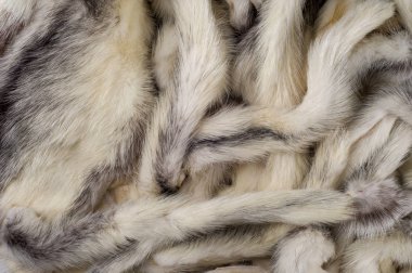 Doku, arka plan. Vizon kürk çok renkli. vizon kuyrukları